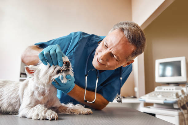 Best Emergency Root Canal Therapy in Citrus City, TX